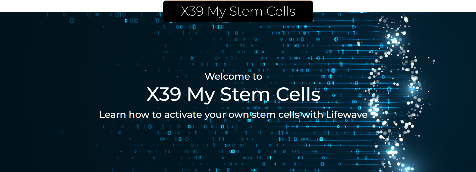 X39 My Stem Cells
